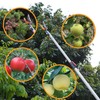 Soft Home 4.6-10 Ft Long Reach Tree Pruner Extendable, Fruit