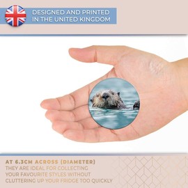 Destination Vinyl ltd Magnet for Refrigerator, Fridge - Cute Sea Otter Animal for Office, Cabinet and Whiteboard, Magnetic Stickers, 14162