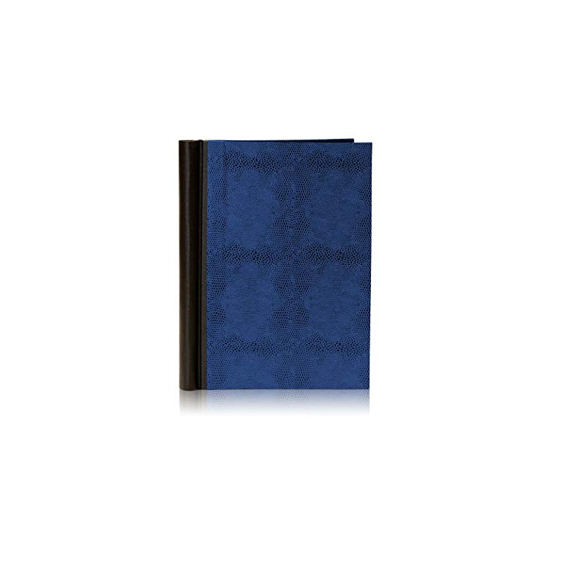 FAIRklemmt Clip Binder Lizard A4 Blue