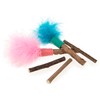 SmartyKat (5 Count Silly Silver Stix Natural Silvervine Cat Toys