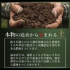 遠赤青汁 V1 