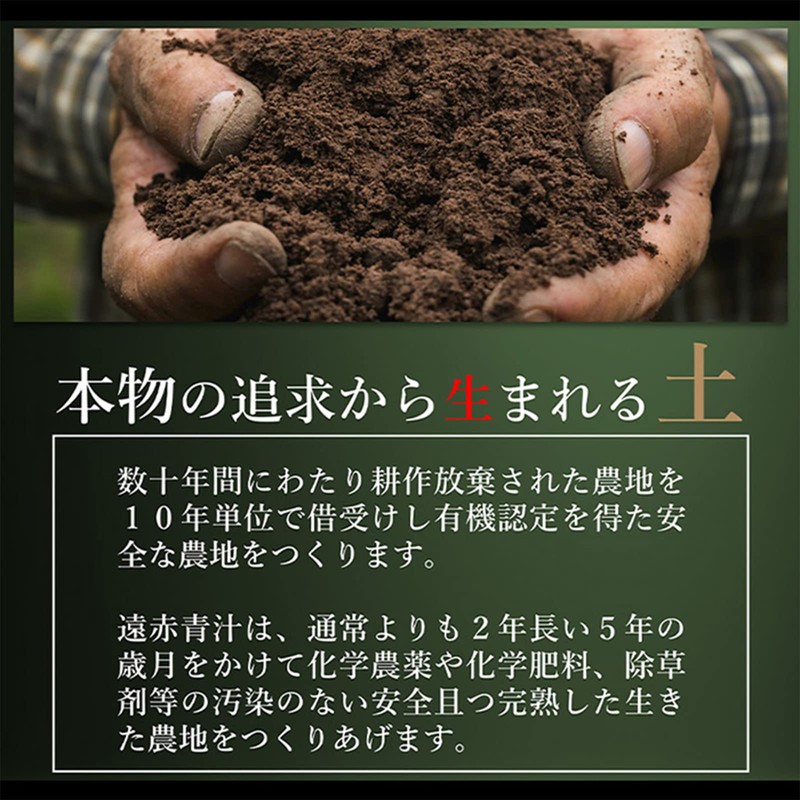 遠赤青汁 V1 