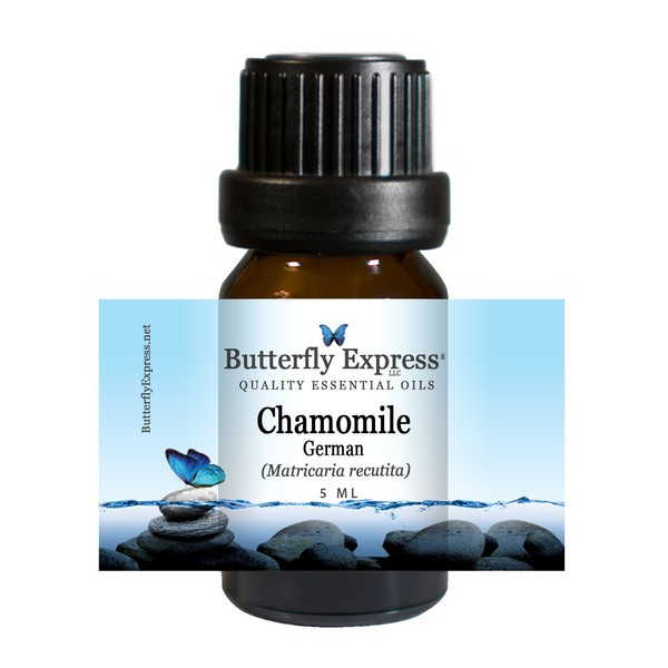 Chamomile German Essential Oil 5ml - 100% Pure by Butterfly Express
