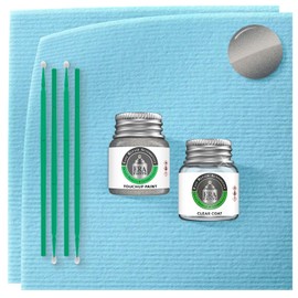 ERA Paints 462 - Flint Gray Metallic for VOLVO Exact Match Automotive Touch Up Paint Jar - Essential Kit