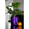 KERD Blumentopf 12 cm, Glänzendes Lila (086), elegant, dekorativ, luxuriös,