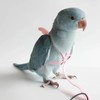 Parrot Flying Harness Leash Suit Pet Bird Outdoor Flight Training