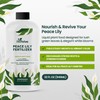 32oz Peace Lily Plant Indoor Live Fertilizer - Makes 192