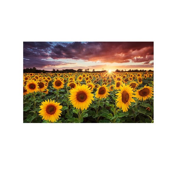 Lemon Tree Art Poster Sunflower Interior Art Natural Landscape Sunflower Stylish Canvas Painting Modern Beautiful Sundries Gift Wall Hanging Contemporary Decoration Room Decor (29.5 x 20.9 inches (75 x 50 cm)