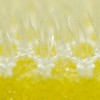 Azuma Industrial Azuma Bath Sponge Spare for Bath Floor Brush