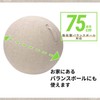 Elecom HCF-BBC75BE Balance Ball Cover, 29.5 inches (75 cm), Convenient