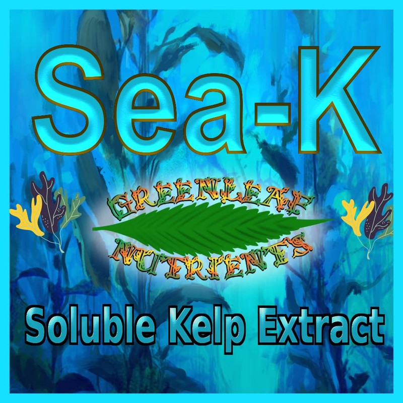Organic Sea-K for Plants Seaweed and Kelp Fertilizer Supplement Concentrated
