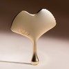 Sisley Ginkgo Gua Sha (Gua Sha) / 시슬리 징코 과샤