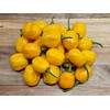 Aji Dulce Yellow Pepper Seeds 10+ Seeds