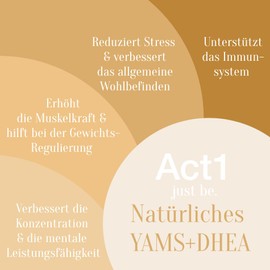 Natürliches Yams - Reduziert Stress und altersbedingte Müdigkeitserscheinungen. Stärkt das Immunsystem. Kräftigt die Muskeln für einen aktiven Körper. 55+ Formel