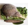 Kiwi NEW ZEALAND Resin 3D fridge Refrigerator Thai Magnet Hand