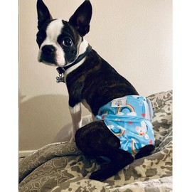 CuteBone Washable Dog Nappies for Female Dogs, Pack of 3 Reusable Dog Nappies, Highly Absorbent Premium Nappies for Puppies