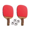 Table Tennis Racket Butterfly Shake Hand Stayer 1500 16710 Pen