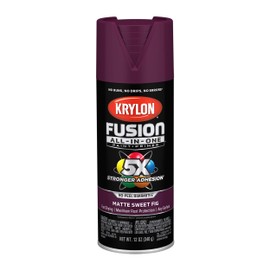 Krylon Fusion All-In-One Adhesive Spray Paint for Indoor/Outdoor Use, 12 oz, Sweet Fig