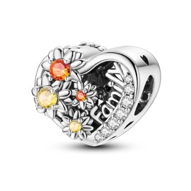 925 Sterling Silver Charms for Bracelets Necklace European Jewelry Pendant Beads Love Valentine's Day Gift for Her Women Girls Family Friends Cute DIY Charms, Sterling Silver, Cubic Zirconia