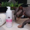 Mr Wrinkles Sphynx Mattifying Waterless Cleanser – Rice Water &