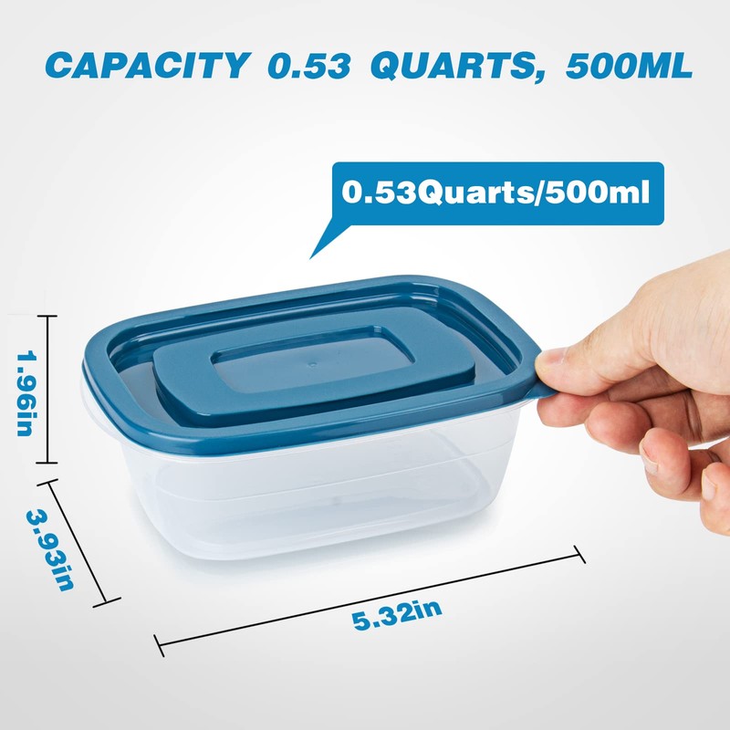 EFISH 10PCS Rectangle Plastic Portion Box Sets with Lids.Food Storage