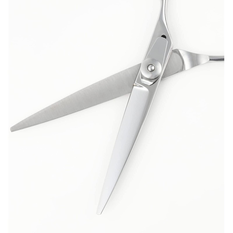 DEEDS AJ-02 Scissor for Home Cutting (6.0 inches)
