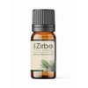 Pine Pine 10 ml Pure Essential Oil, 100% Pinus Cembra