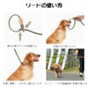 Dog Leash Dog Slip Leash Reflective Rope Lead Anti-Pull Lead