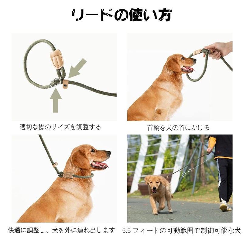 Dog Leash Dog Slip Leash Reflective Rope Lead Anti-Pull Lead