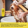 Wags&wiggles Shampoo Avena para Aliviar picazón y humectar el Pelaje
