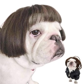 Elionless Pet Wigs, Dog Halloween Costume Dog Cat Cosplay Wig Funny Headwear Halloween Christmas Parties Festivals Fancy Dress Outfit for Small Medium Large Dogs