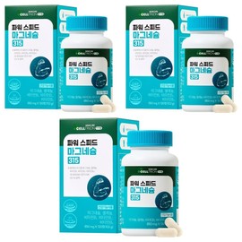 Innerlab Power Speed ​​Magnesium 315, 120 tablets, 3 pieces / 이너랩 파워 스피드 마그네슘 315, 120정, 3개