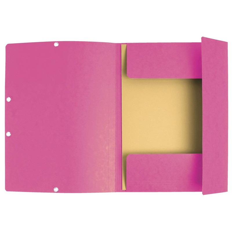 Exacompta 55520E Folder (Manila Cardboard, with elastic strap and 3