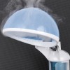 SEGAWE Facial Steamer Ozone Steamer with 360° Rotatable Arm Professional