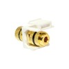 Faconet Set with 2x Audio Cable Speaker Cable Binding Post