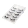 BN Limo Eyelashes RME-17 Elegant Flare (5 Pairs)