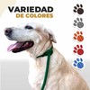 LOS LADRIDOS DE MEXICO Correa para Perro Premium Paseo y