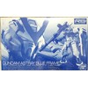 Bandai RG 1/144 Gundam Astray Blue Frame (Gumpra EXPO, Hobby