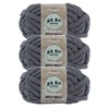 (3 Pack) Lion Brand Yarn 951-154H AR Workshop Chunky Knit