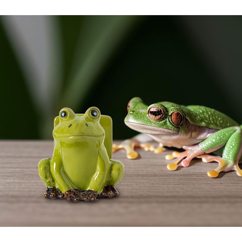 dgudgu Frog Sponge Holder for Kitchen Sink Cute Kitchen Sponge