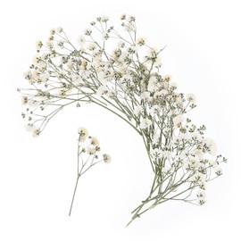 100 PCS Dried Babys Breath Flowers, Mini Pressed Flowers for Crafts, Wedding Invitation Accessories,Dried Pressed Baby Breath for Resin, Candle, Soap, Scrapbooking(White)