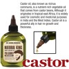 SFC Natural King Pro-growth Castor Hair & Beard Oil 7.1