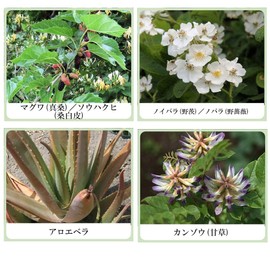 Color White Beauty Herb White Fairy Cream (Whitening Foundation & Moisturizing Sunscreen Cream), Botanical Cosmetics, Genderless Cosmetics, Biken Kampo Research Institute