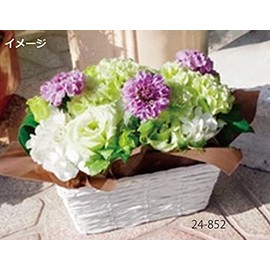 Ohashi Shinji Shoten Planter Cover, White Cornet Basket D4 24-964