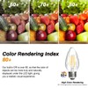 BRIMAX F15 4W Led Porch Light Bulbs Outdoor, Equivalent 40W