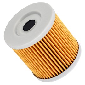 Road Passion Oil Filter for PIAGGIO BEVERLY 350 2011-2012