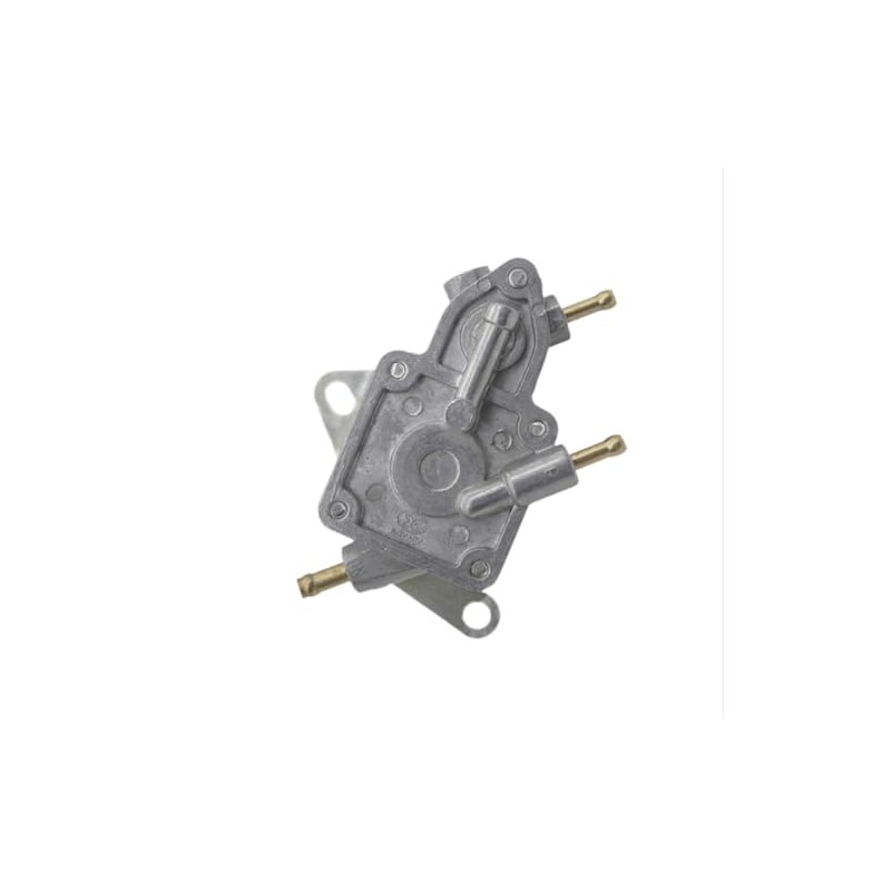 CADICATV 0454953 0454395 Fuel Pump Fits For Polaris RZR 170