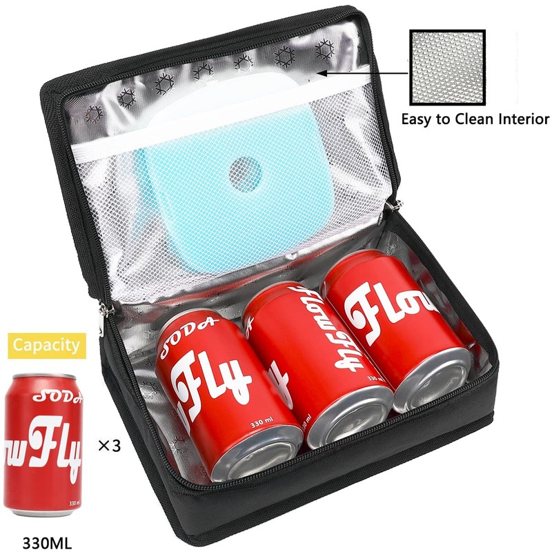 FlowFly Small Insulated Lunch box Portable Soft Bag Mini Cooler