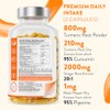 AAVALABS Turmeric and Black Pepper Capsules with Ginger Root Extract