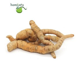 국내산 생지황 600g 지황 시세대로 Domestic Fresh Rehmannia 600g Rehmannia Based on Market Price